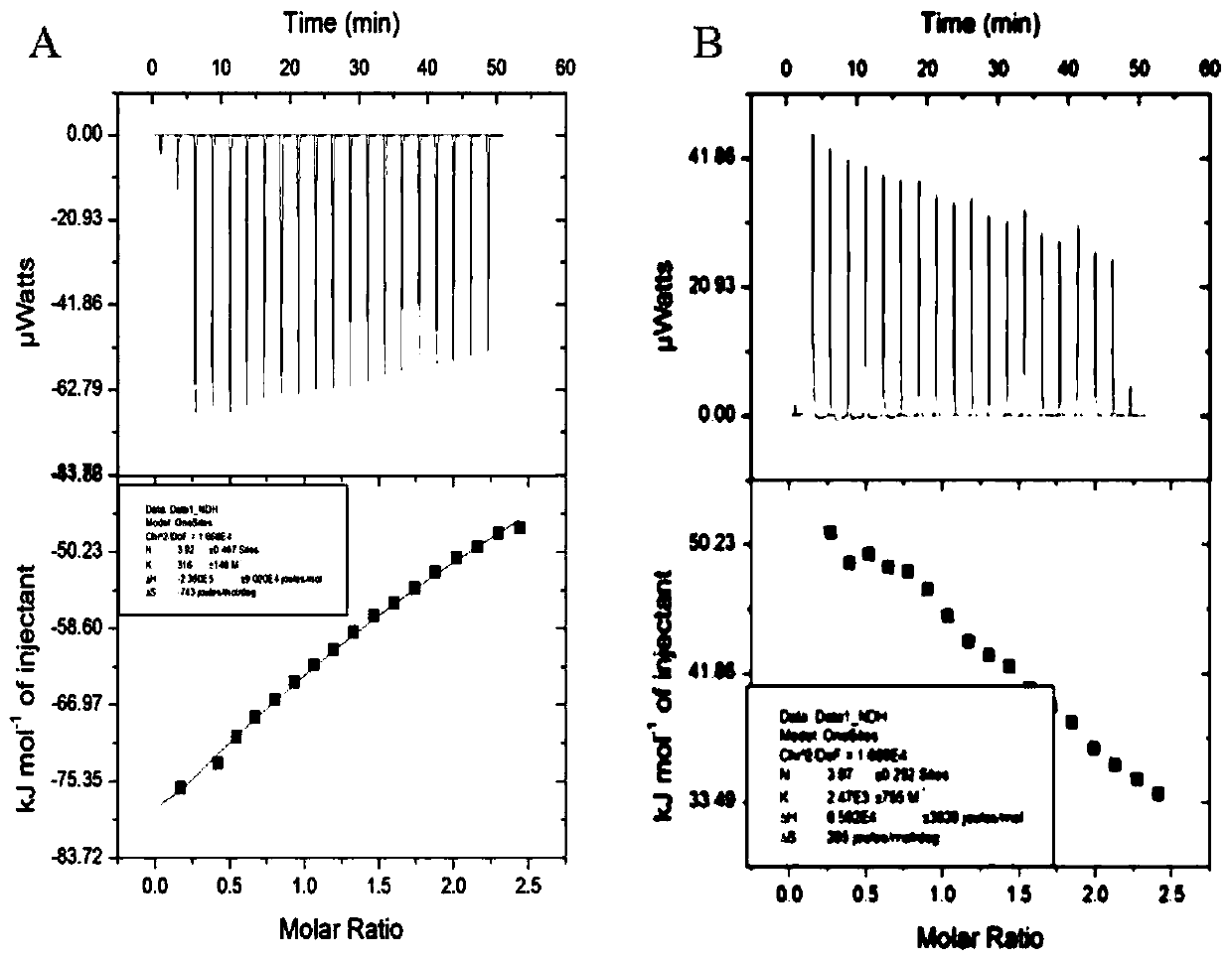 PVY-CP serving as target of drug for screening and treating potato Y virus and application thereof