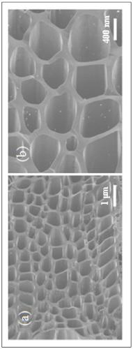 A kind of lithium-ion battery silicon/carbon negative electrode composite material and preparation method thereof