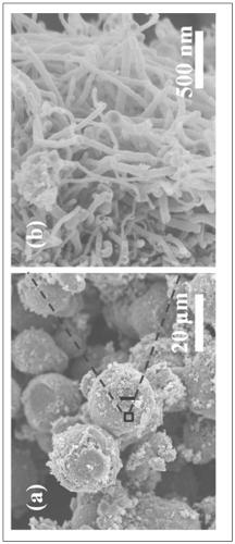 A kind of lithium-ion battery silicon/carbon negative electrode composite material and preparation method thereof