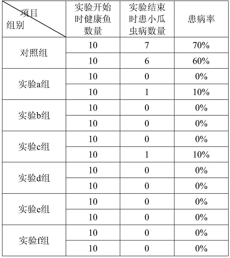 Compound preparation for preventing and treating channel catfish ichthyophthiriasis and preparation method thereof