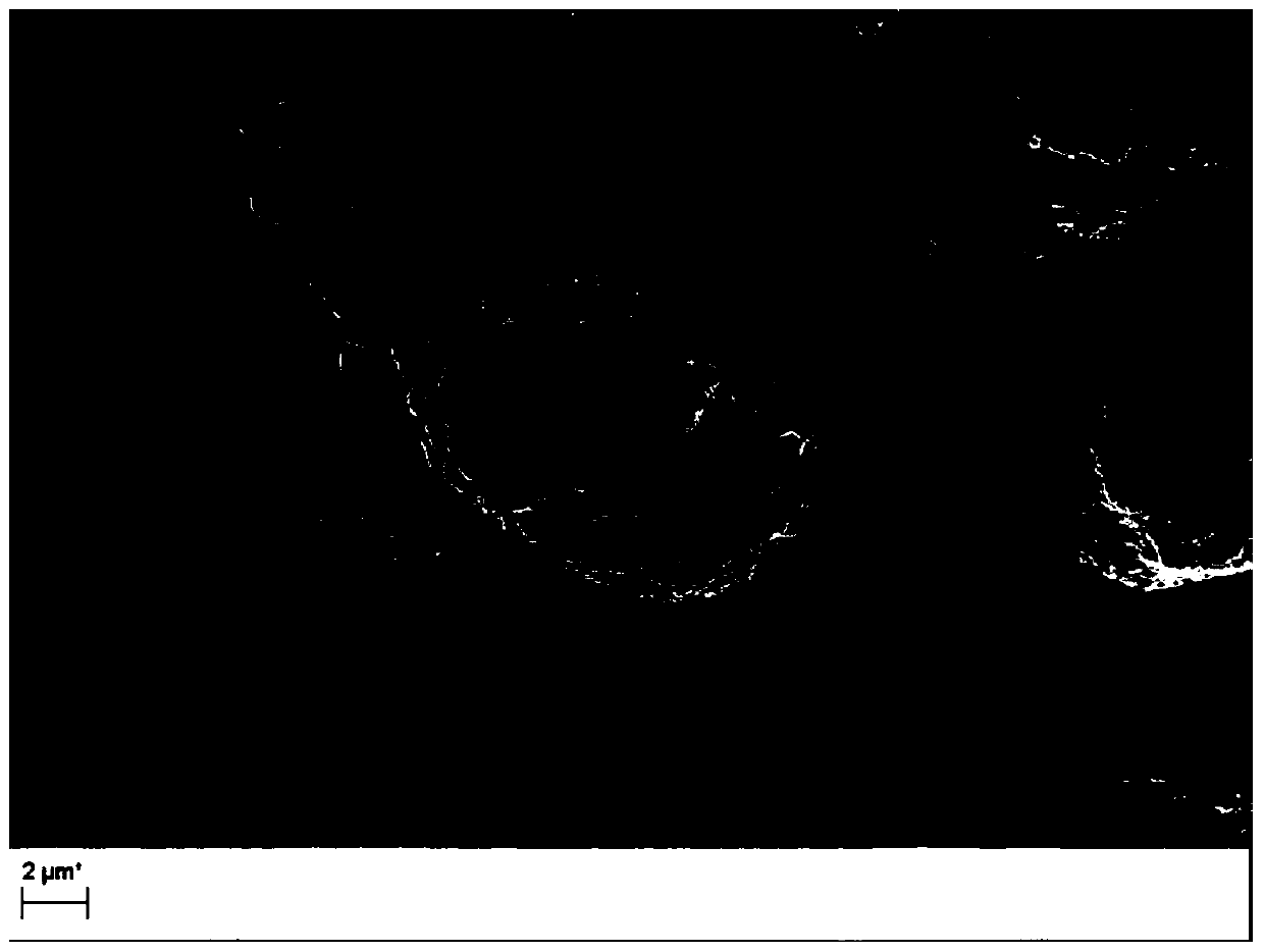 Lithium ion ternary positive electrode material with high nickel content and low free lithium content, and preparation method and application thereof