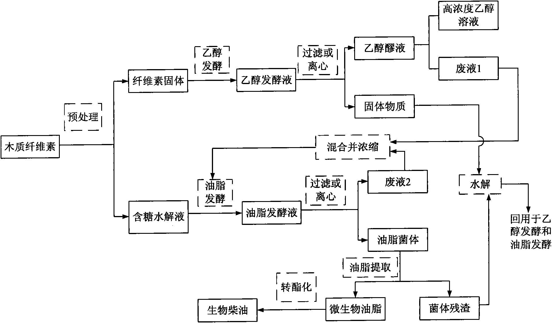 Method for joint production of ethanol and microbial lipid by using methyl cellulose as raw material