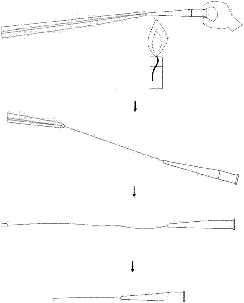 Mouse mammary gland syringe needle and application thereof