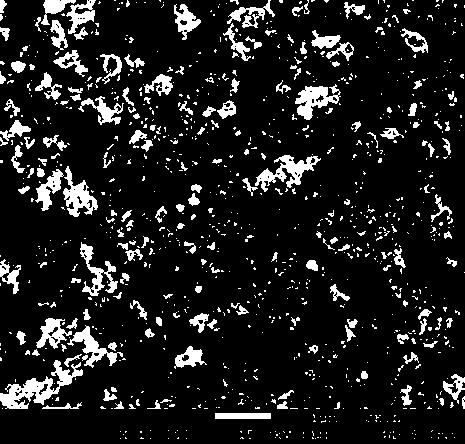 Lithium ion battery and its preparation method