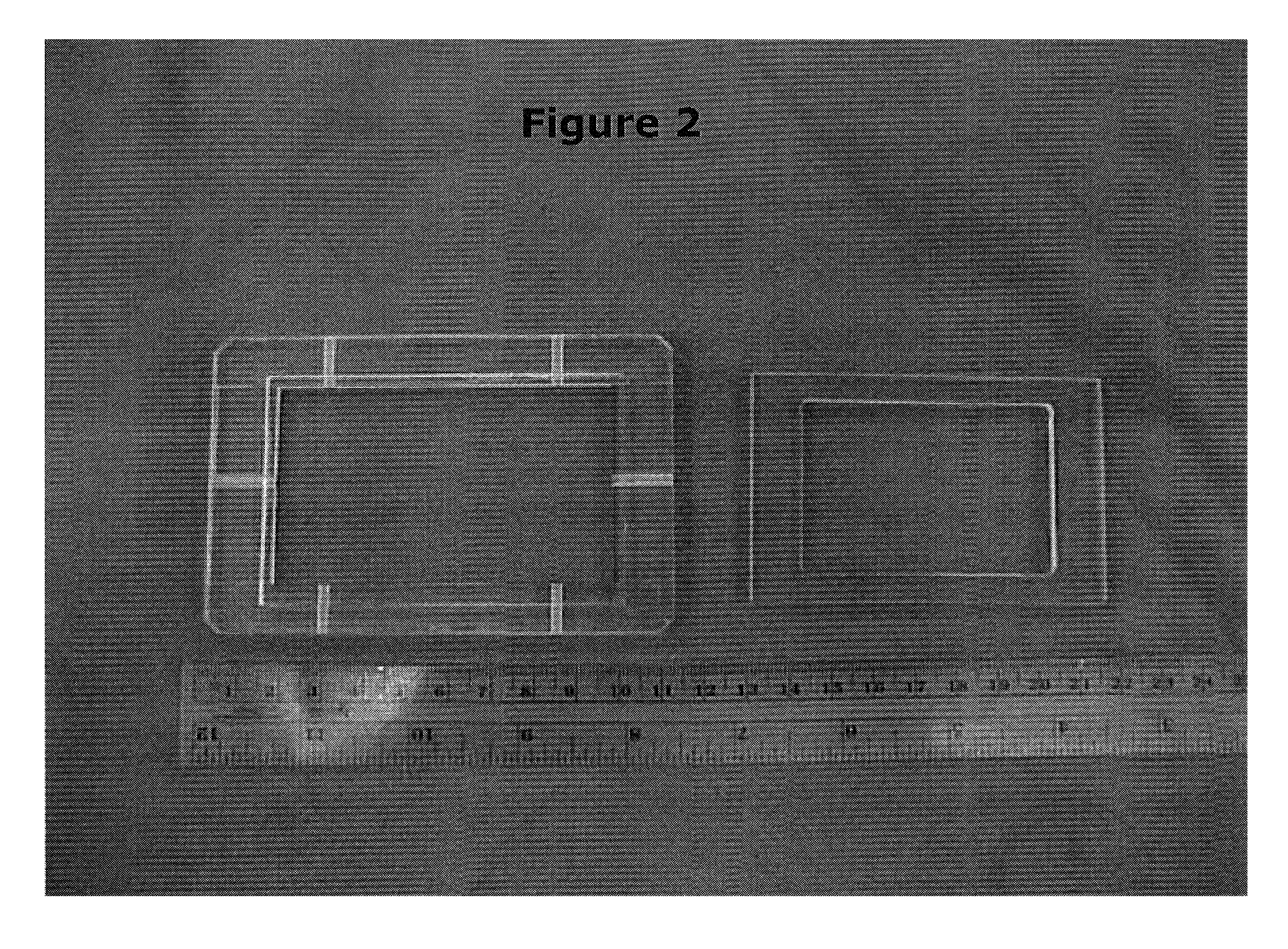 Vitro engineered, regenerated urinary tract tissue compositions and methods for producing same