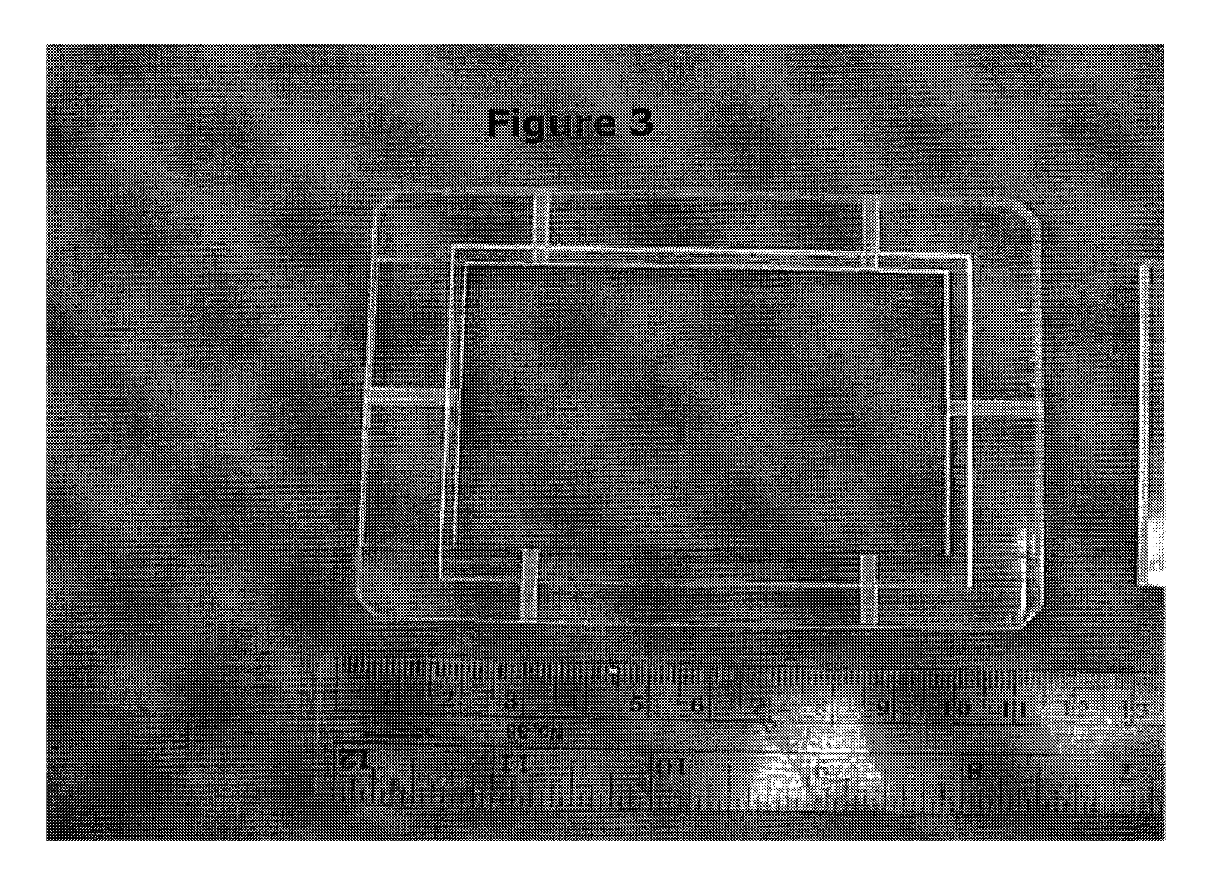 Vitro engineered, regenerated urinary tract tissue compositions and methods for producing same