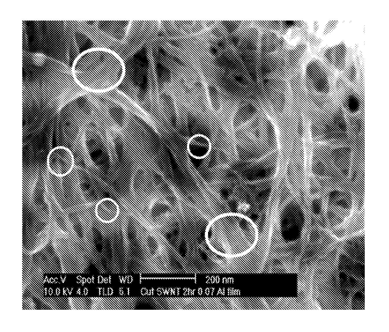 Modified carbon nanotubes and methods of forming carbon nanotubes