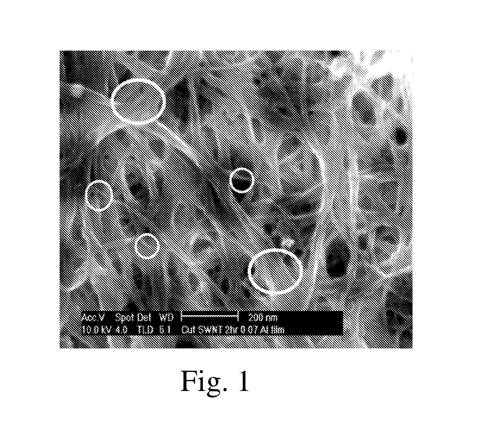 Modified carbon nanotubes and methods of forming carbon nanotubes