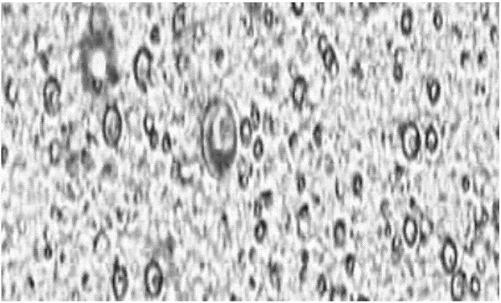 Preparation process and application of beta-carotene nano-emulsion