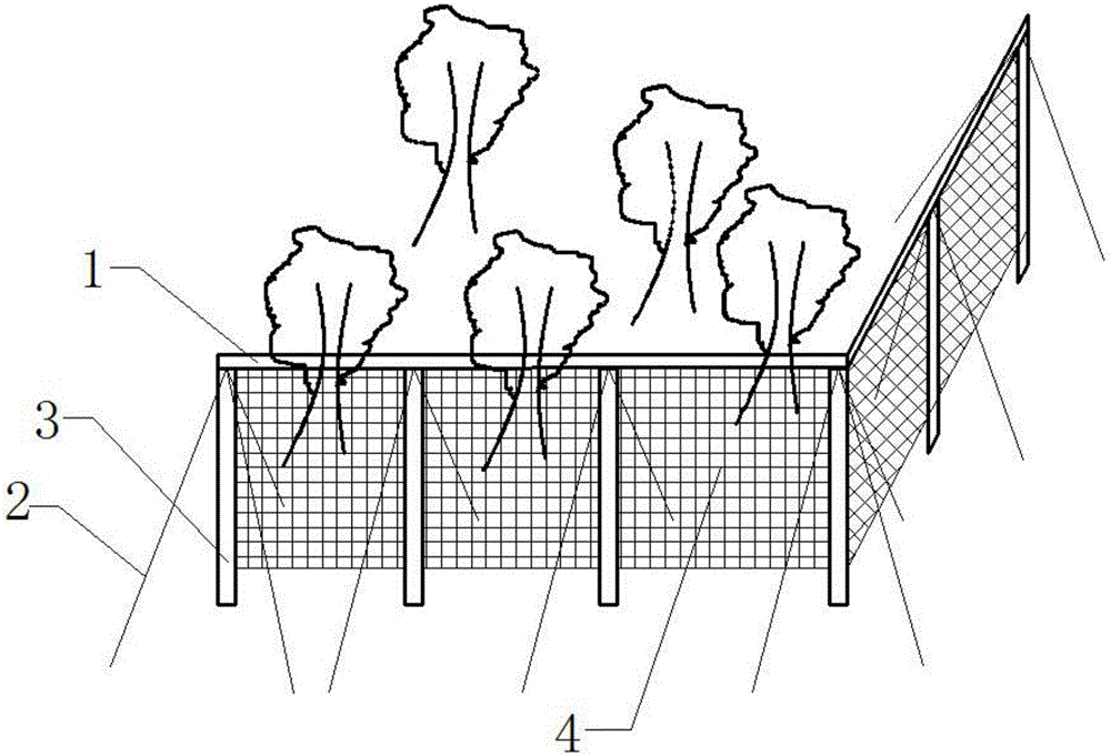 Curtain-like anti-typhoon apparatus