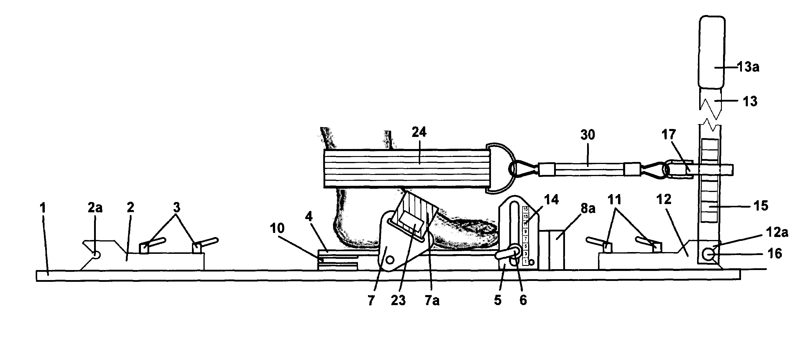 Method and apparatus for anterior and posterior mobilization of the human ankle