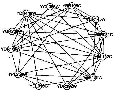 A protein complex identification method based on node vector