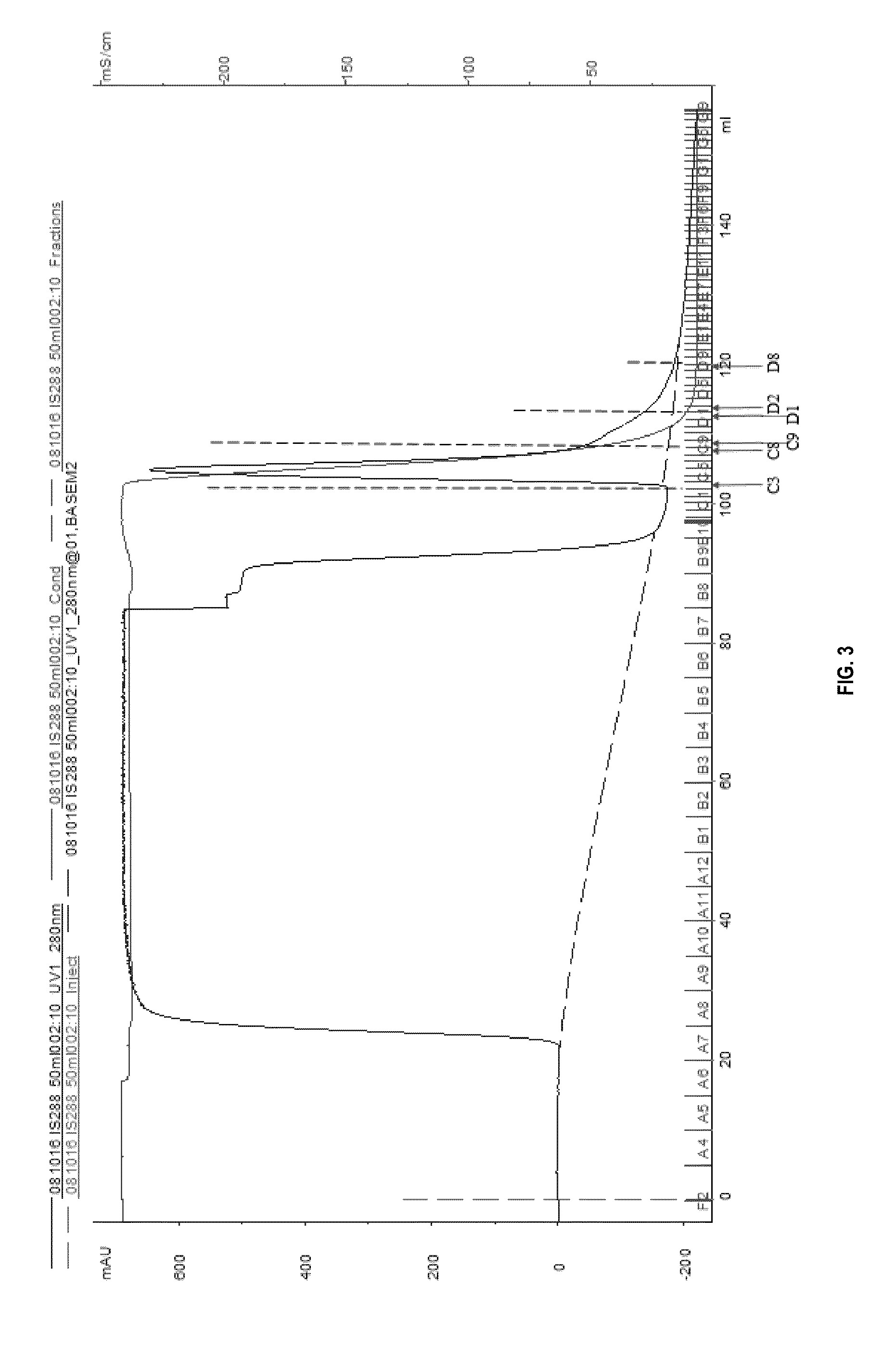 Beta-lactamases with improved properties for therapy