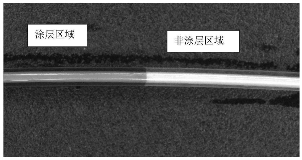 Hydrophilic coating, preparation method and method for testing firmness of coating