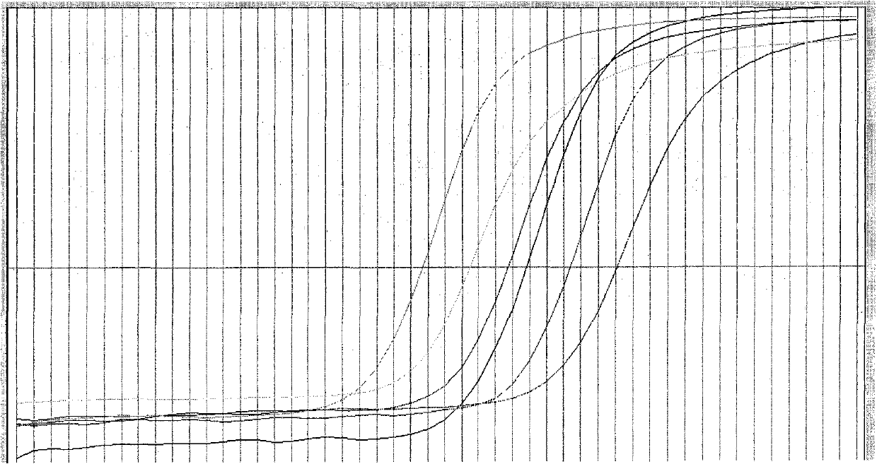 Relative quantification kit for detecting ribonucleic acid of Thl/Th2 cell factors