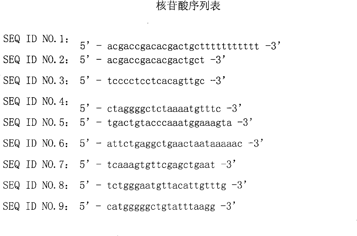 Relative quantification kit for detecting ribonucleic acid of Thl/Th2 cell factors