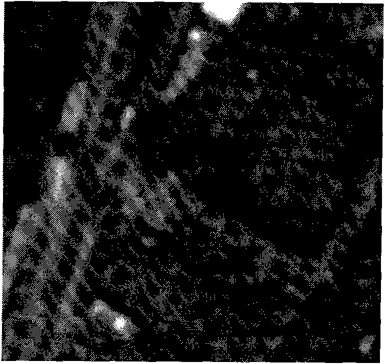 Infusion method of full-color image and multi-spectral image based on low-frequency correlation analysis