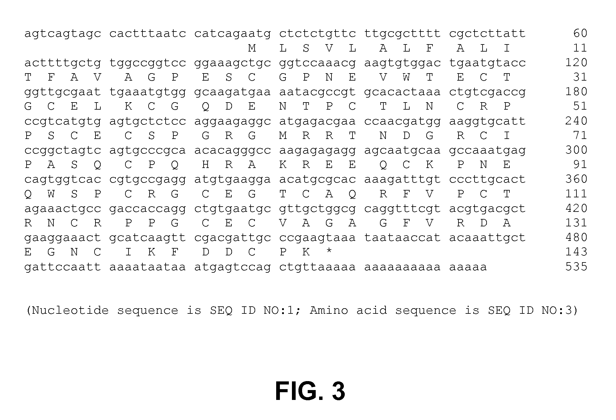 Methods, devices, kits and compositions for detecting roundworm