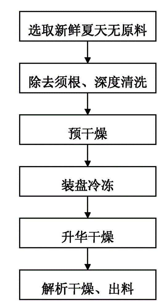 Decumbent corydalis tuber vacuum freeze drying process and preparation process for decumbent corydalis tuber powder