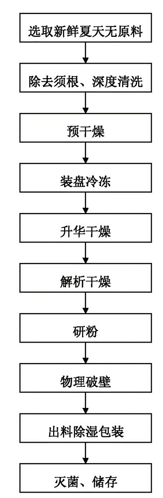 Decumbent corydalis tuber vacuum freeze drying process and preparation process for decumbent corydalis tuber powder