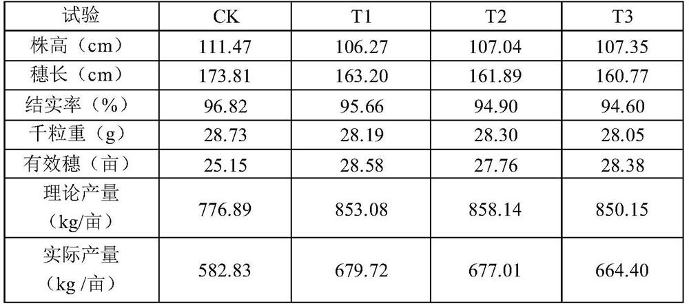 Special multi-stage controlled-release compound microbial fertilizer for rice and preparation method thereof