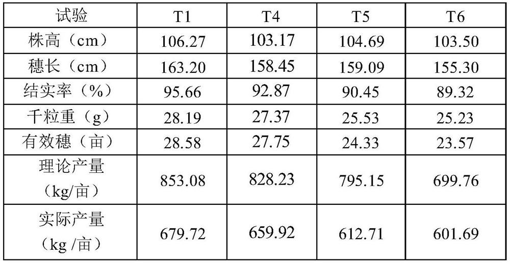 Special multi-stage controlled-release compound microbial fertilizer for rice and preparation method thereof