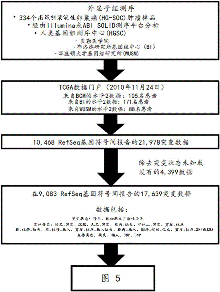 Markers for ovarian cancer and the uses thereof