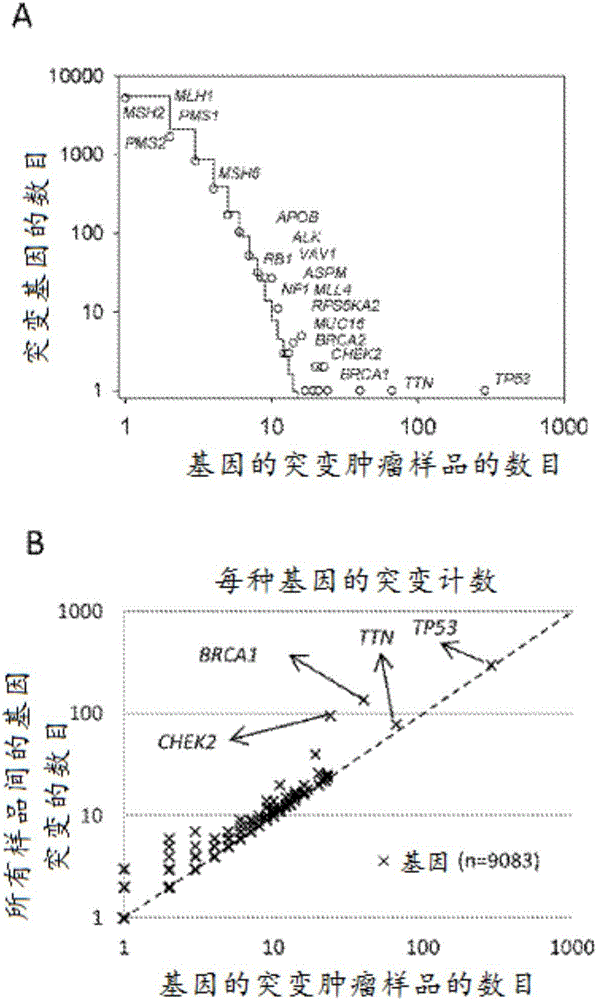 Markers for ovarian cancer and the uses thereof