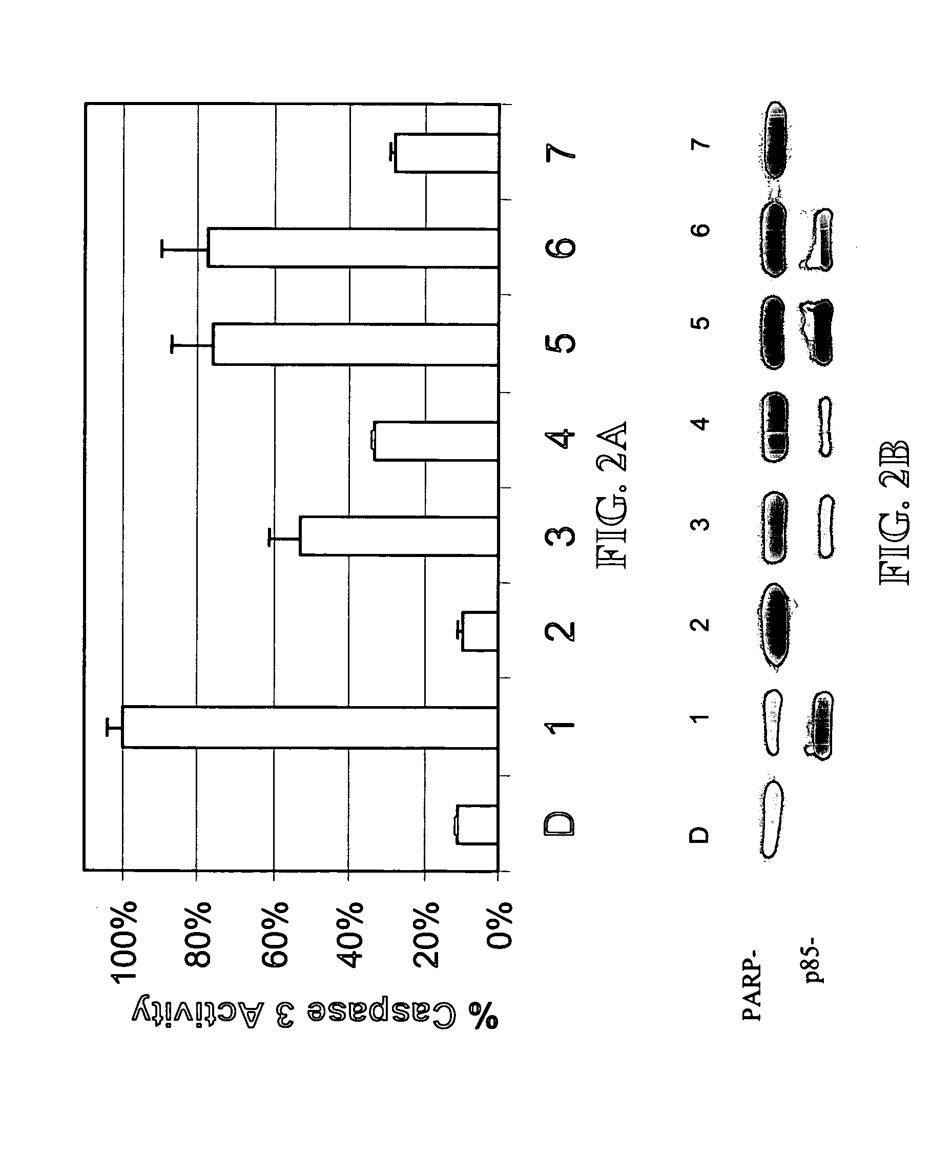 Methods for preventing and treating cancer using N-thiolated beta-lactam compounds and analogs thereof