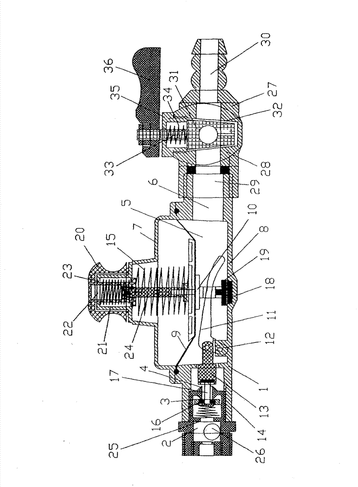 Multifunctional fuel safety protecting device