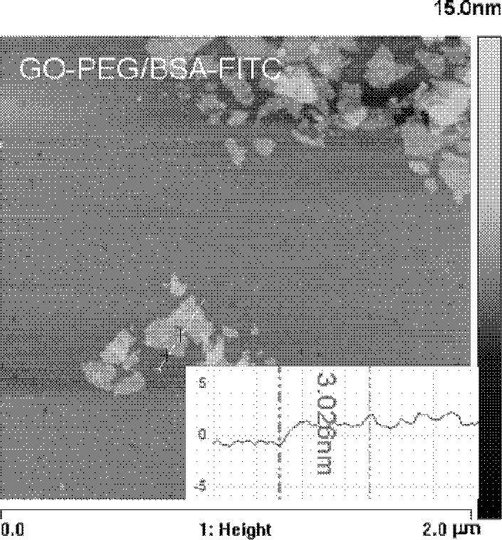 Nano graphene oxide protein complex, preparation method and applications thereof