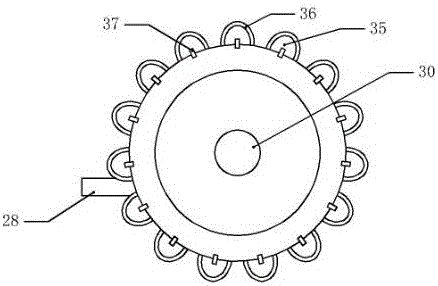 Gear machining and polishing device