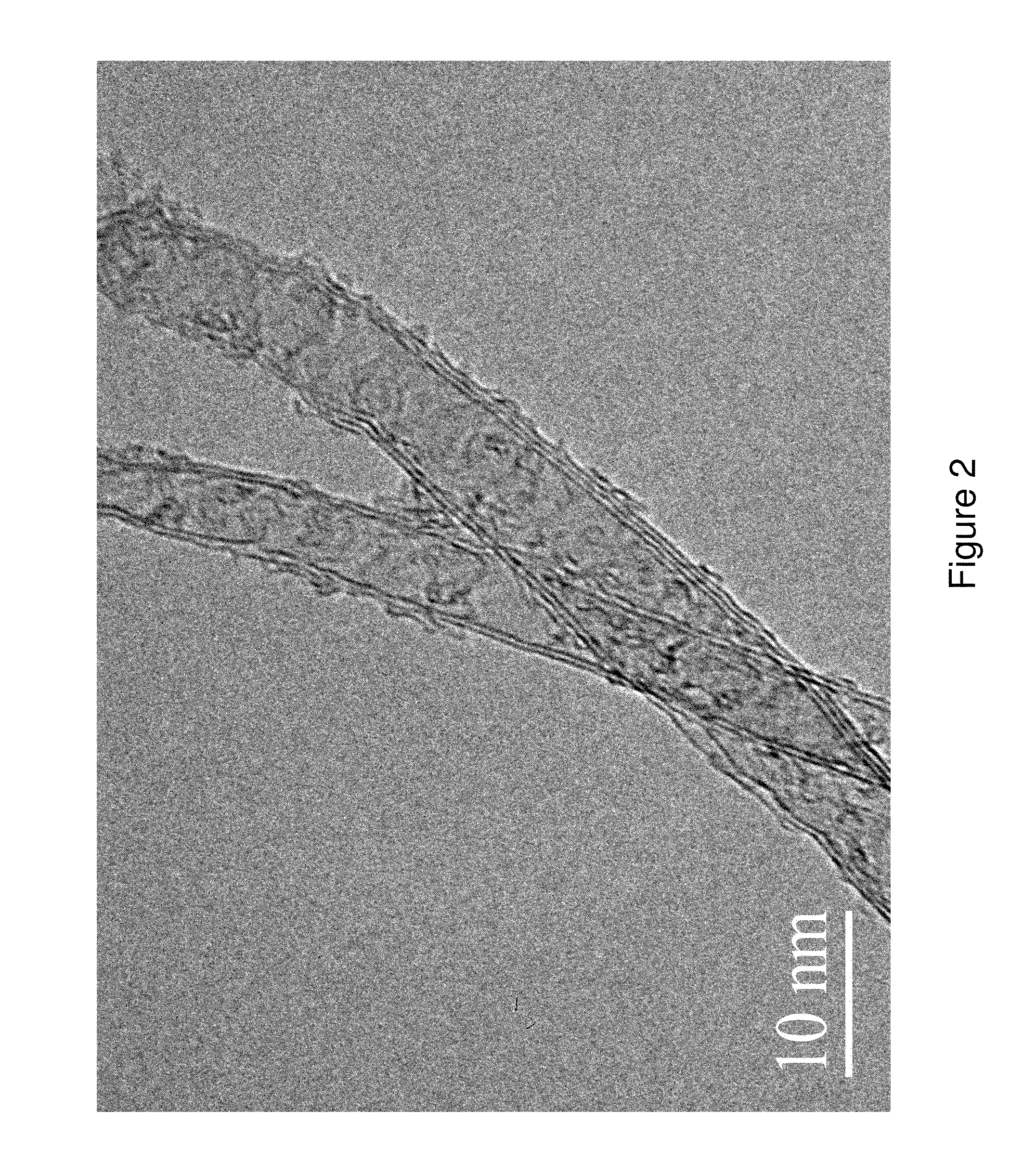 Cnt-infused carbon fiber materials and process therefor