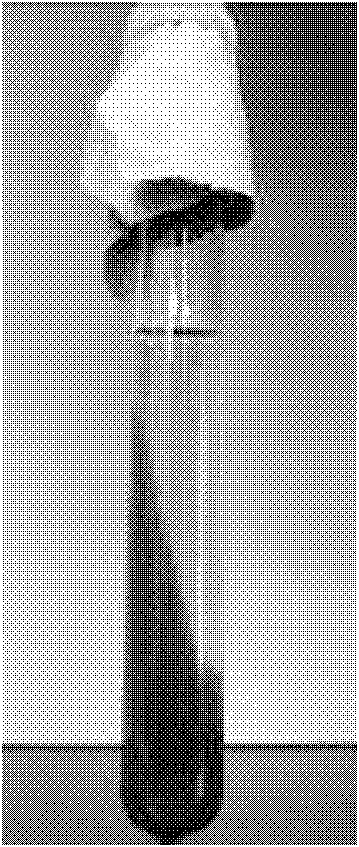 Bartonia body solid-liquid double-phase slant culture medium as well as preparation method and application method thereof