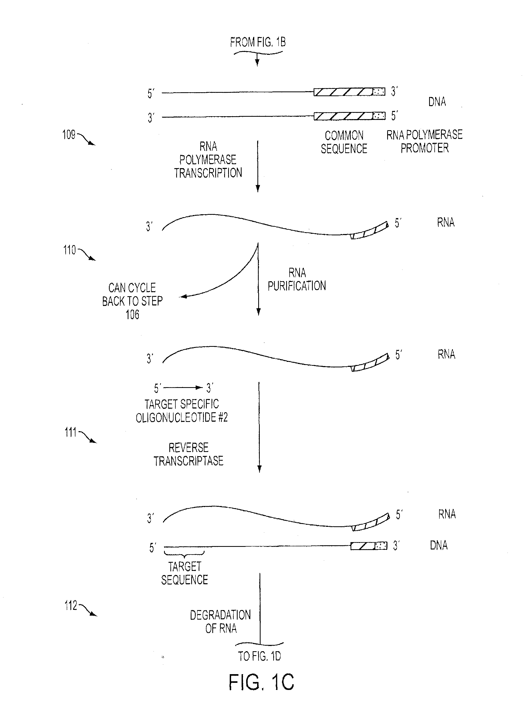 Isothermal Methods and Related Compositions for Preparing Nucleic Acids