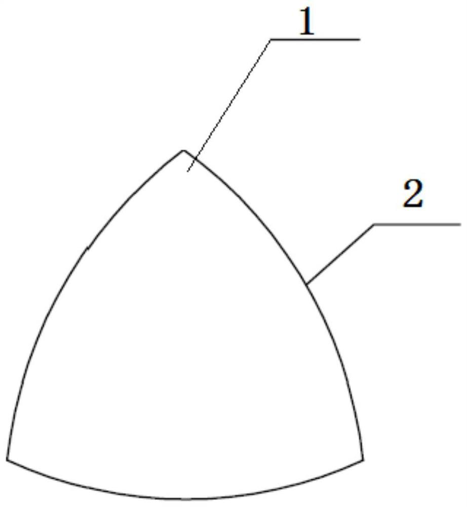 An aortic valve supraplasty fixation device