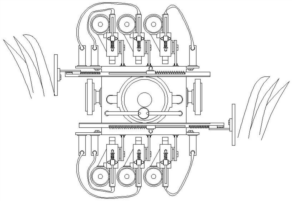 Soil classification sampling device based on crop growth conditions