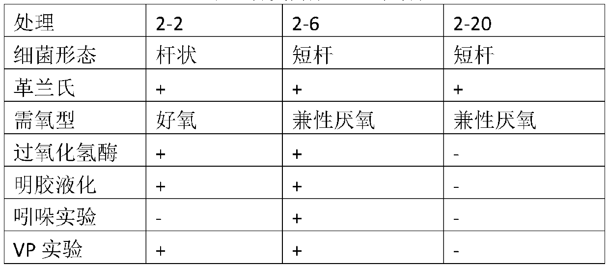 Composite microorganism deodorizing agent and preparation method and applications thereof