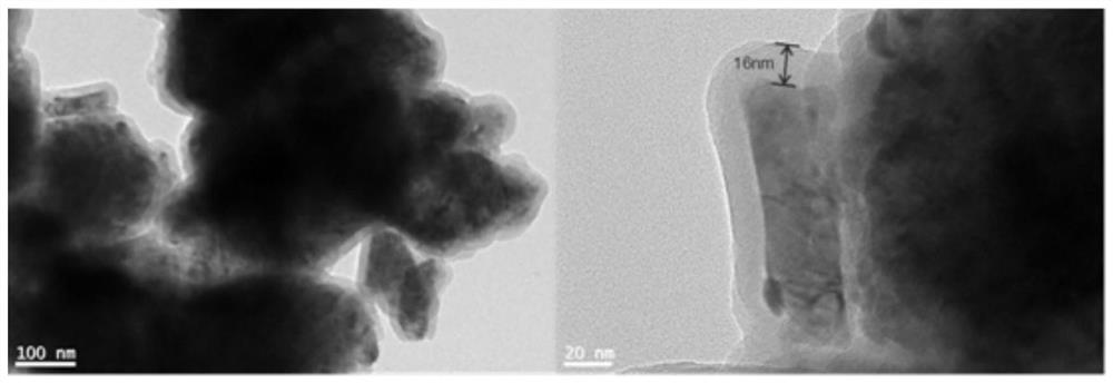 Barium titanate piezoelectric ceramic support for bone tissue engineering and preparation method thereof