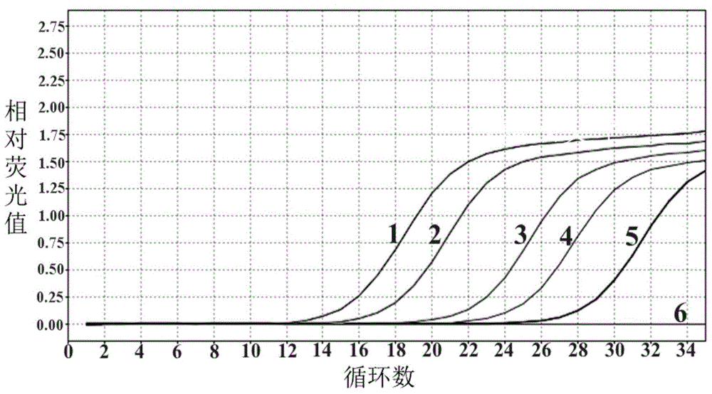 Kit for detecting klebsiella pneumoniae