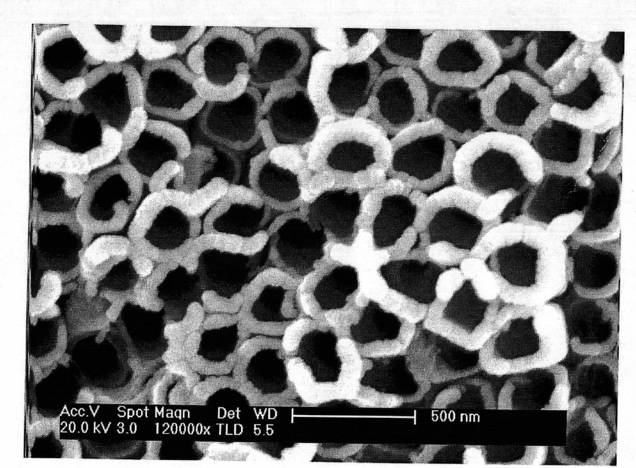 Trace element selenium slow-release type artificial tooth root based on nanometer tube array surface