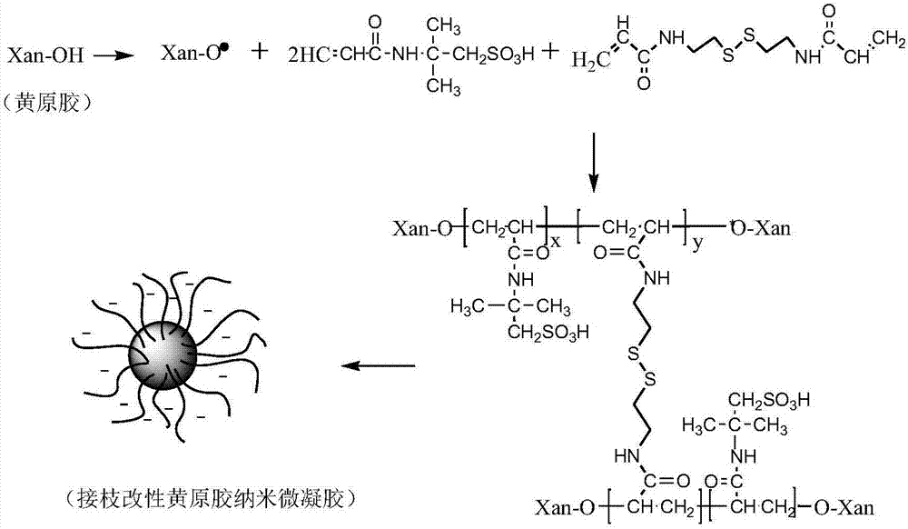 Preparation method of grafted modified xanthan gum nano micro-gel