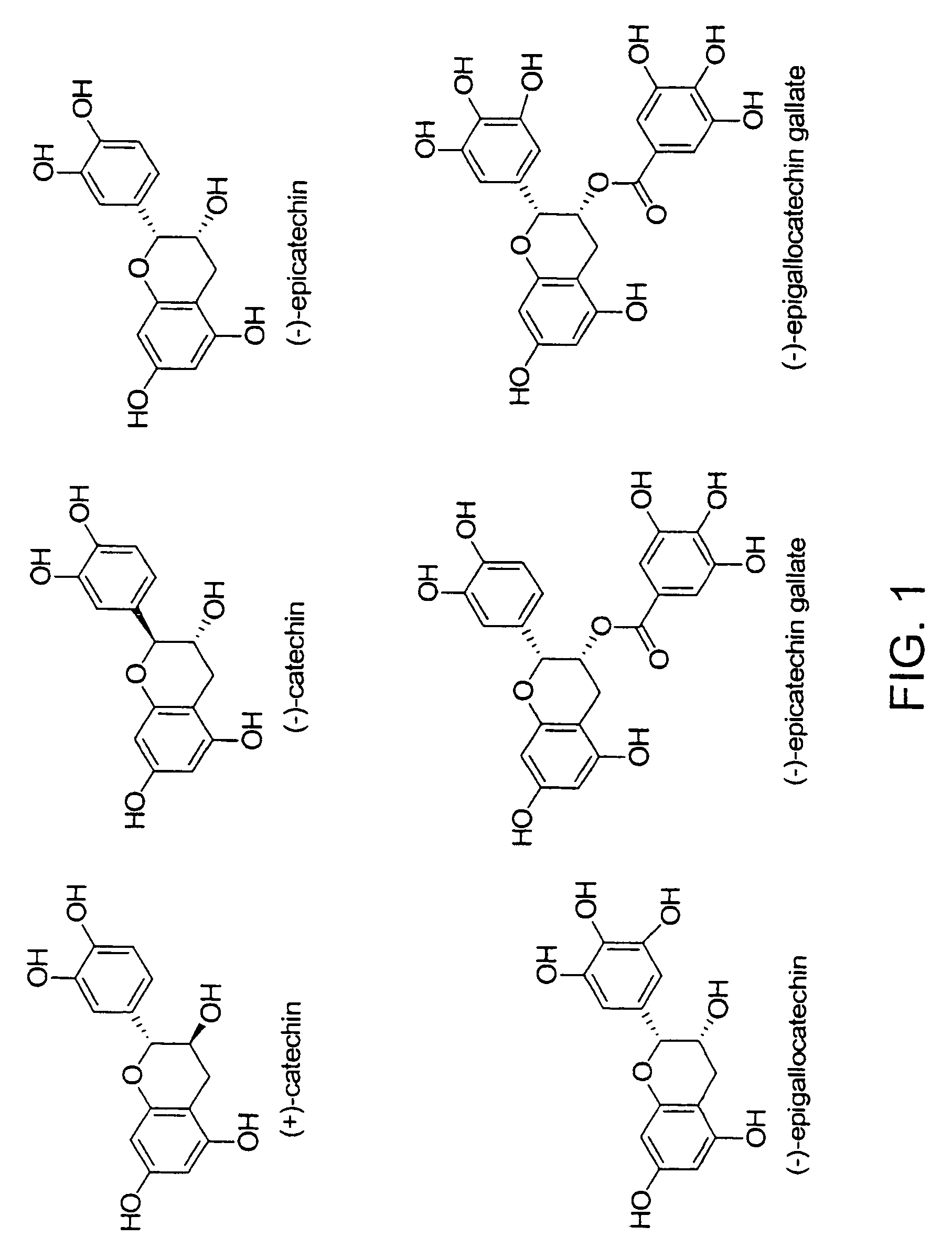 Synthesis of oligo/poly(catechins) and methods of use