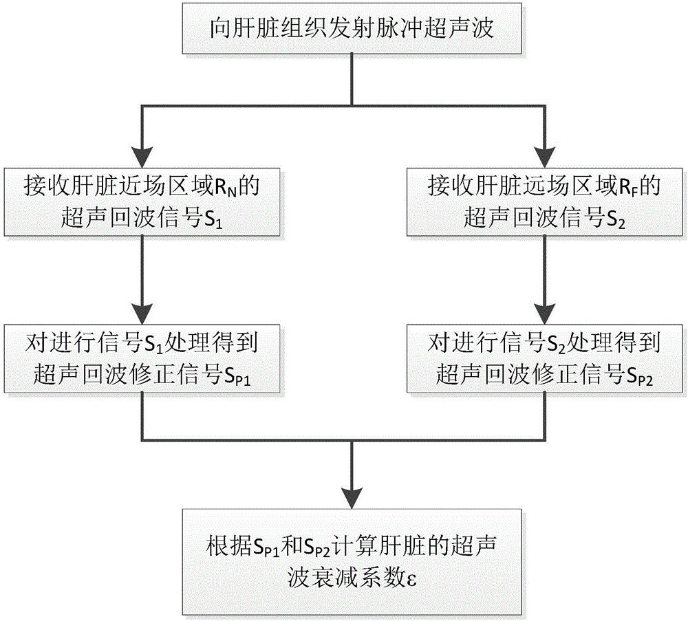 Ultrasonic-based liver fat quantification method and system