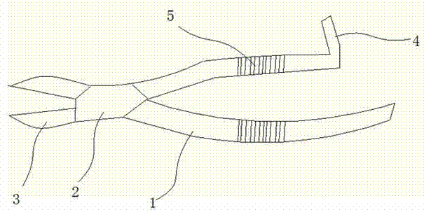 Improved dental forceps