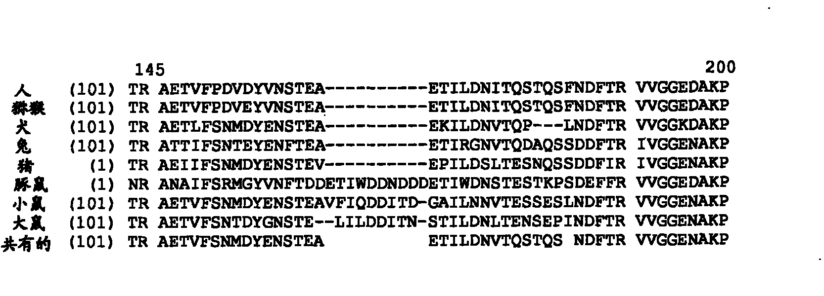 Modified factor IX polypeptides and uses thereof