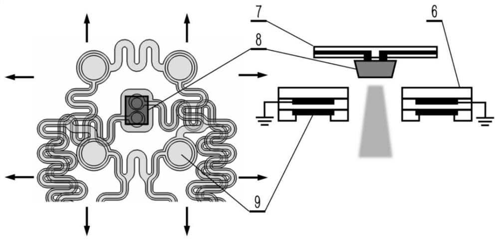 A recording electrode with serpentine metal shielding structure and its preparation process