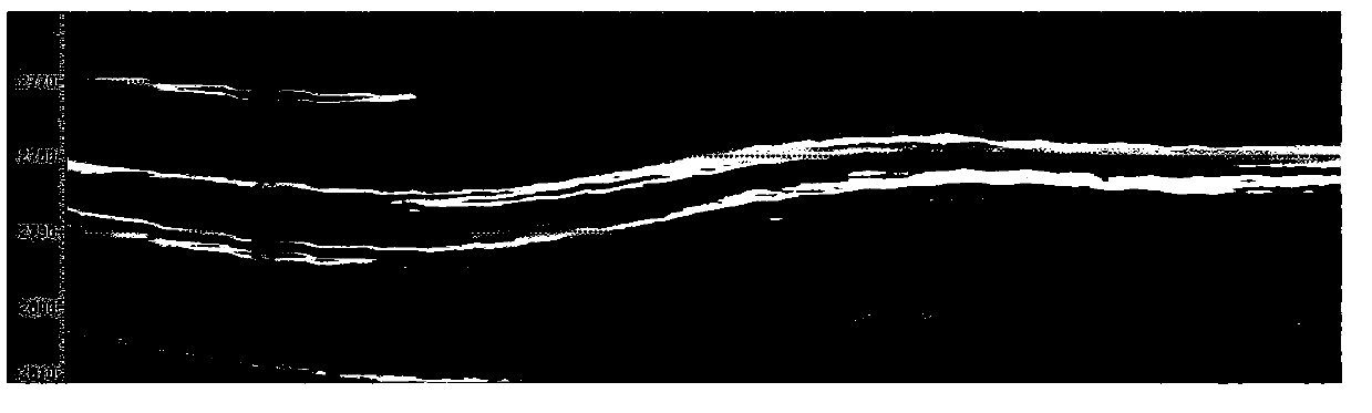 Depth domain constraint inversion method based on horizontal well horizontal section vertical shaft virtualization