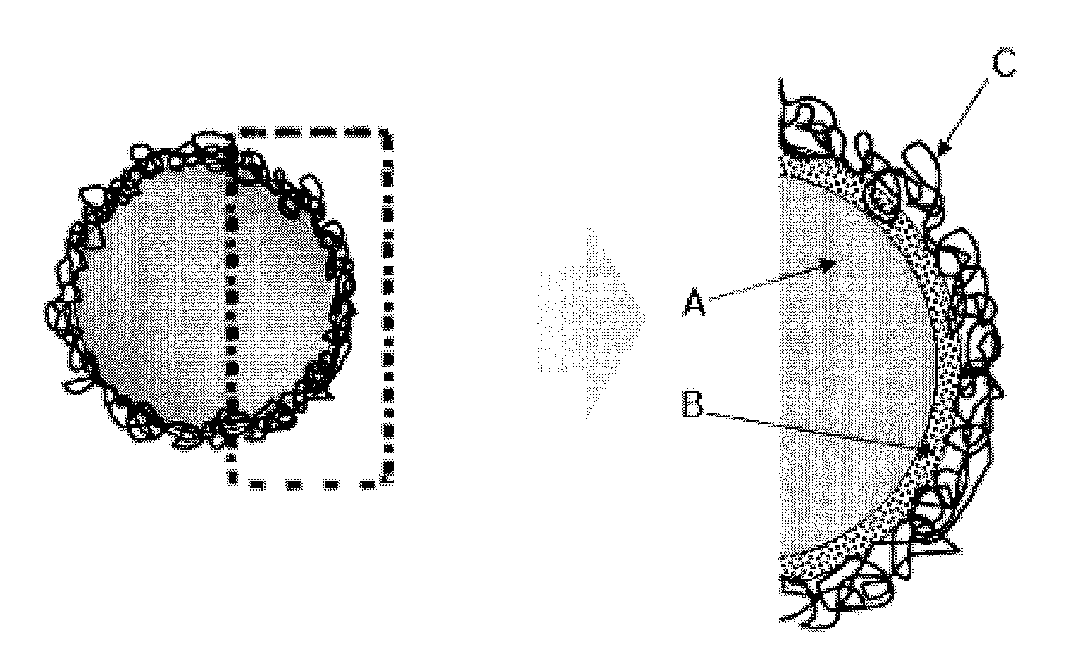 Electroconductive particle comprising graphene-coated polymer particle, anisotropic conductive film comprising same and method of making thereof