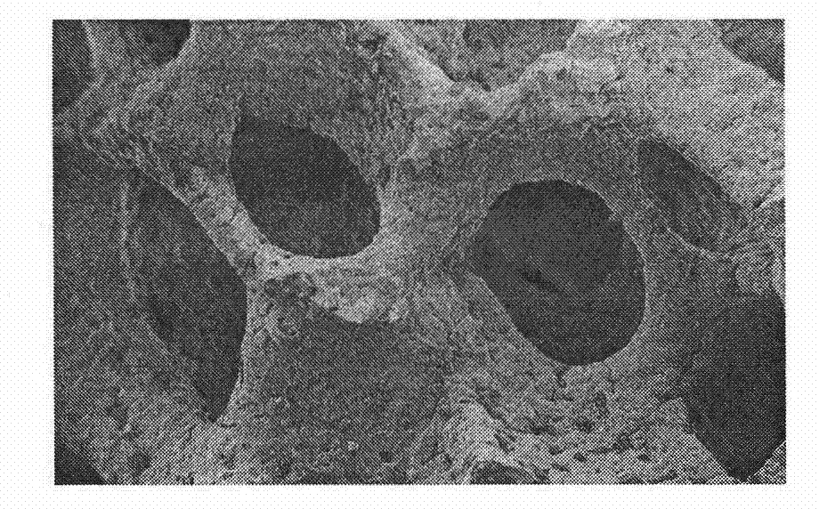 High-intensity porous bone repair material and method for preparing same